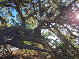 TEMPORARY SEXUAL SATISFACTION