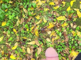 Hot Transgirl Piss Compilation