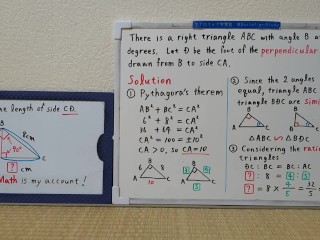 Find the length of side CD.The perpendicular line.[JapanMath](lesbian)