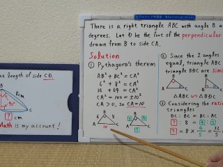 Find the length of side CD.The perpendicular line.[JapanMath](lesbian)