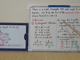 Find the length of side CD.The perpendicular line.[JapanMath](lesbian)