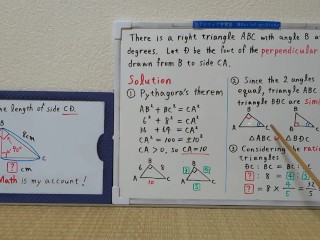 Find the length of side CD.The perpendicular line.[JapanMath](lesbian)