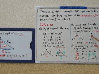 Find the length of side CD.The perpendicular line.[JapanMath](lesbian)