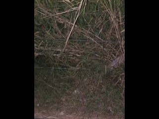 Public Flashing โชว์นมข้างป่า