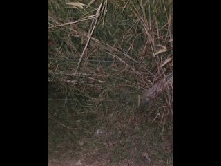 Public Flashing โชว์นมข้างป่า