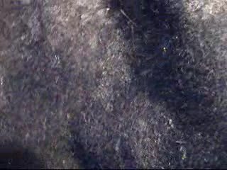 From the vaults: 2011 A.J.'s 1st facial (WMV version)