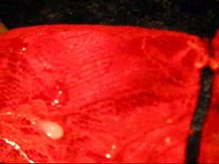 From the vaults: 2011(?) Sharon's New Year Dress (WMV version)