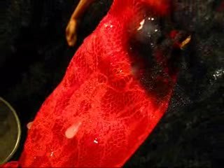 From the vaults: 2011(?) Sharon's New Year Dress (WMV version)