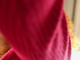 Dreamgirl Chronicles: Holiday Affair