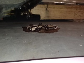 Mushroom Stomp in Dirty Boots, ground to a pulp under my 91kg 👣👣