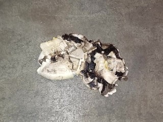 Mushroom Stomp in Dirty Boots, ground to a pulp under my 91kg 👣👣