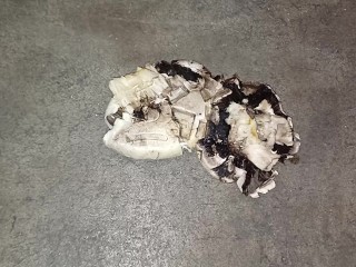 Mushroom Stomp in Dirty Boots, ground to a pulp under my 91kg 👣👣