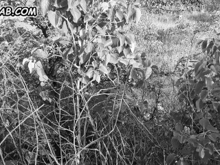 PAWG MILF Get Hard Public Anal نكحت قحبة شقراء في الغابة