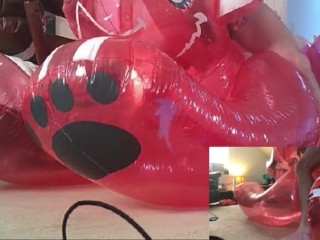 Proud skunk inflatable shows all