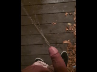 Late night pee outside