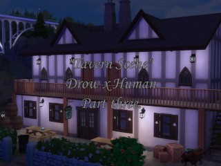 Tavern sex scene, drow and human, part 3
