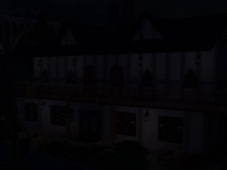 Tavern sex scene, drow and human, part 5