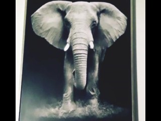 Busted a Fat Ass Elephant Nut 💦🍆🐘