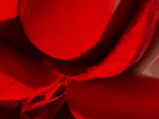 Vagina, caliente, Delgadita 🔥 latinas