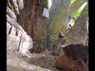 Would you use me like the cum slut i am daddy