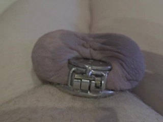 Ballbusting Challenge 355 Hits