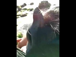 Chica de enorme culo follada en la playa por turista