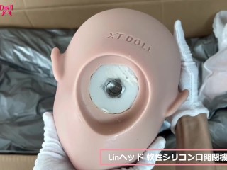 XTDOLL 150cmDカップ Lin＆Asumiヘッド ラブドール 開封動画