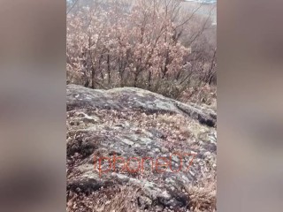 I had to pee twice on the same walk in the park