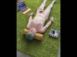 Cowgurl HFO to ShibbySays' Udderly Entranced