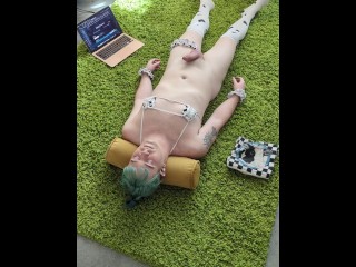 Cowgurl HFO to ShibbySays' Udderly Entranced