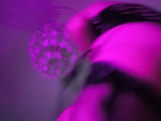 Getting pegged rear view