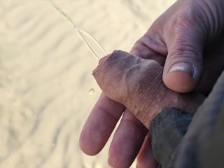 Holding His Dick during PEE Compilation on the Beach and I Pee on the Beach 7 Videos