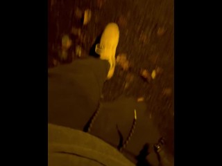 Dick out in park at night