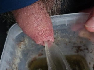 Pissing in my compost plastic pot