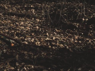 Sexy, hot, mature MILF park ranger gets caught by a young, lost hiker. -Roxy, the Park Ranger