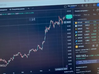 A Day in the Life of a Crypto Investor