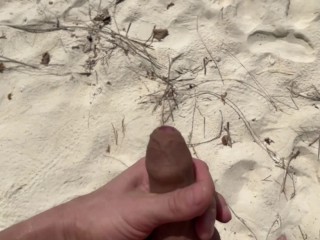 Public Pickup Stepmom and Stepdaughter on Beach - Risky Dick Flashing