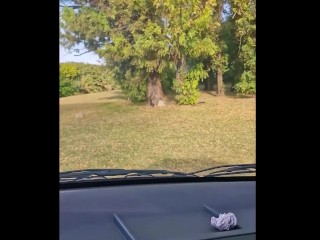 From the pool to the car and a public park on the side of the road for more pleasure