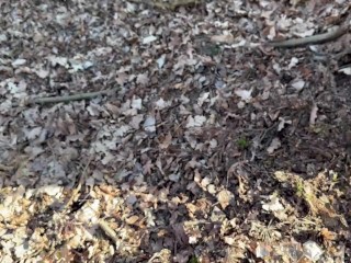 18 Year old Teen is Fucked in the Forest