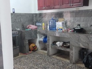 sexy naked woman in the kitchen