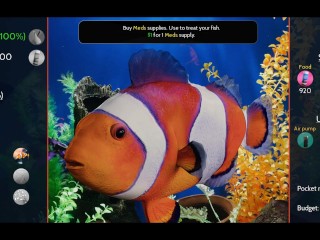 Being A DIK 11 - Part 410 Getting Ready For Christmas! By LoveSkySan69