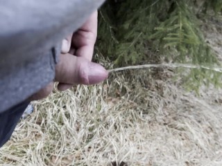 Outdoor Pissing & Risky Wank – My Small 11cm Dick Almost Exposed to Tourists!