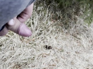 Outdoor Pissing & Risky Wank – My Small 11cm Dick Almost Exposed to Tourists!