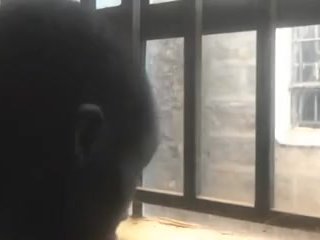 RISKY HANDJOB THROUGH THE WINDOW 😮