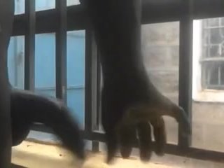 RISKY HANDJOB THROUGH THE WINDOW 😮