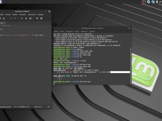 #1 A simpler C++ compiler and running the first program
