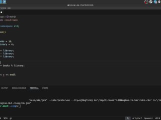 #4 Variables and how to work with them