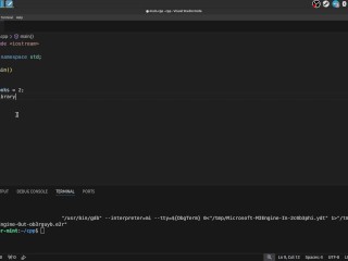 #4 Variables and how to work with them
