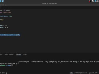 #4 Variables and how to work with them