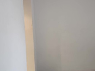 Honey I shrunk myself bully payback backfires